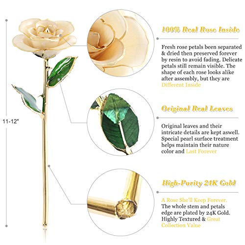 Listado de Rosa oro los mejores 5. 11 Imagen adicional