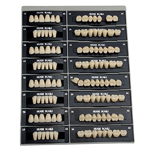 AZDENT Dental Synthetic Resin Tooth Denture T8-A2(28 units/4 suits)
