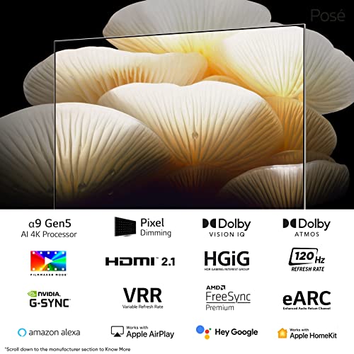 LG 139 cms (55 inches) Objet Collection LX1 Posé Series 4K Ultra HD Smart OLEDevo TV 55LX1QPSA (Beige) - Image 4