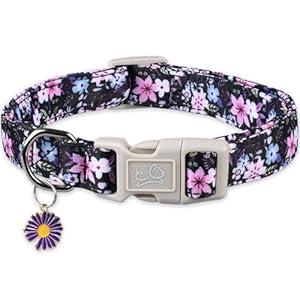 Large Dog Collar for Female Male Dog, Dog Collar for Large Dogs for Girl Boy, Collar para Perros Pet Collars for Summer Spring Wedding