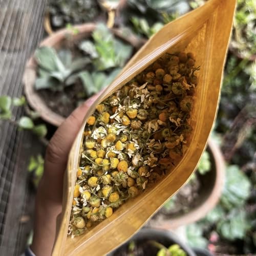 Image of Himalayan Haat Full Bloom Chamomile Flowers - Caffeine-Free Herbal Tea for Sleep, Anxiety Relief & Immunity Boost | Natural Dried Chamomile | 80g