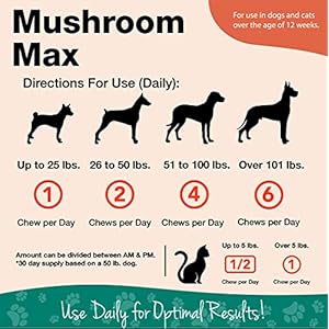   NaturVet-Mushroom-Max-Advanced-Immune-Support-Dog-Supplement--Helps-Strengthen-Immunity-Overall-Health-for-Dogs--Includes-Shitake-Mushrooms-Reishi-Turkey-Tail--60-Ct