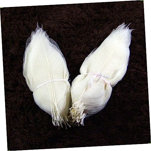 STOBOK 100 Pçs Esqueleto De Folhas Mistas Arte Esqueleto Deixa A Granel Álbum De Recortes De Casamen