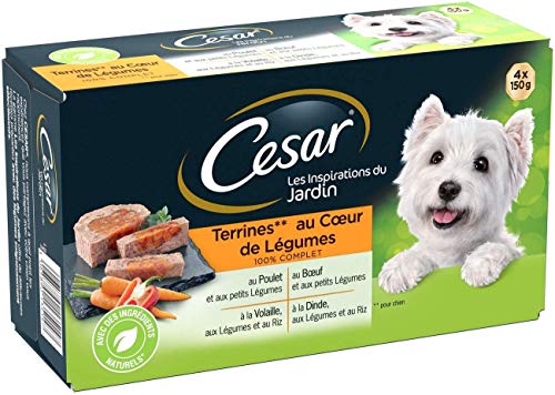CESAR Les Inspirations du Jardin - Barquettes en terrine pour chien adulte, cu009cur de légumes, 24 barquettes de 150g