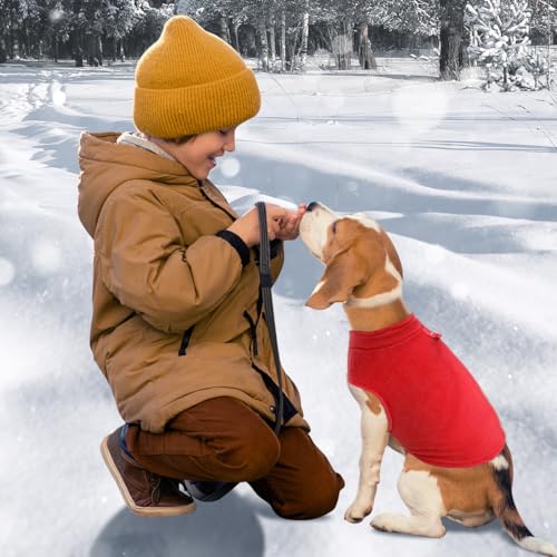 Hundemantel Mit Geschirr für Kleine Hunde - Hundepullover, Chihuahua Kleidung, Wintermantel für Innen und Außeneinsatz (Rot, L)