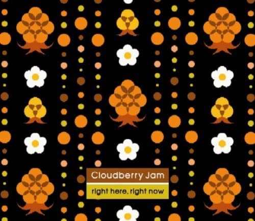 CLOUDBERRY JAM - Right Here Right Now - CD