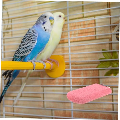 Accessoires pour cage à oiseaux Hohopeti : stimulation et entretien du bec - 7