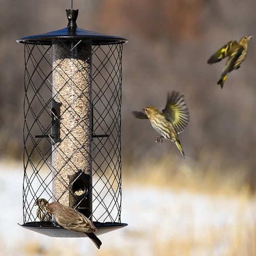 Perky-Pet The Preserve Wild Bird Feeder - 3 lb Seed Capacity - Keep Squirrels Out - Perky Pet 785 - Feed Wild Birds Outdoors - Durable Construction