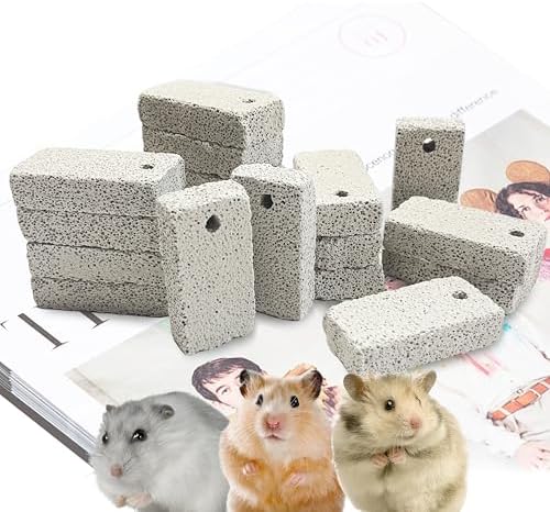HZJPIN 18 Pcs Small Animal Pet Lava Bites Chews Toy Mineral Calci...