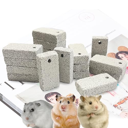 18 Pcs Small Animal Pet Lava Bites Chews Toy Mineral Calcium Ston...