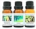 Crazy Candles 3 Bottles Set, 1 Sandalwood, 1 Cedar, 1 Mahogany Teakwood 1/2 Fl Oz Each (15ml) Premium Grade Scented Fragrance Oils By