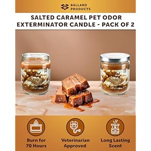 Ballard Products Specialty Pet Products Pet Odor Eliminating Candle Salted Caramel  Pack of 2 Pet Odor Eliminator Candle  Pet Candles Odor Eliminator for Your Home  Bundle Air Freshener  Cucciolini Doodles Ballard products specialty pet products pet odor eliminating candle salted caramel  pack of 2 pet odor eliminator candle  pet candles odor eliminator for your home  bundle air freshener   cucciolini doodles