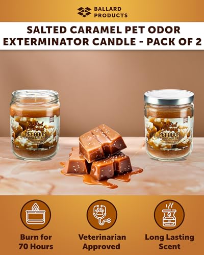 Ballard Products Specialty Pet Products Pet Odor Eliminating Candle Salted Caramel  Pack of 2 Pet Odor Eliminator Candle  Pet Candles Odor Eliminator for Your Home  Bundle Air Freshener  Cucciolini Doodles Ballard products specialty pet products pet odor eliminating candle salted caramel  pack of 2 pet odor eliminator candle  pet candles odor eliminator for your home  bundle air freshener   cucciolini doodles