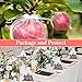 Sukh 100pcs Organza Bags 5''x7'' - White Sheer Mesh Drawstring Bags for Jewelry, Soap, Fruits, Candy, Small Gift Bags for Weddings, Valentine's Day, Mother's Day, Halloween, Thanksgiving, Christmas