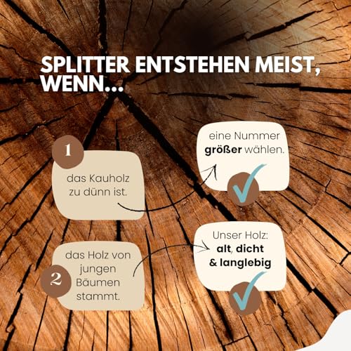 PetLove Kauholz für Hunde aus Olivenholz • Holzknochen als Hundespielzeug • Kauknochen als Zahnpflege & Kauspielzeug für Hund • Größe: S (60-99g) • Ideal für Welpen & kleine Hunde