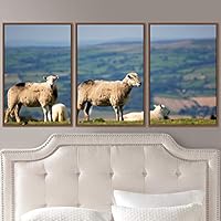 3 Piece Framed Canvas Wall Art Fun Animals Canvas Prints Home Artwork Decoration for Living Room,Bedroom - 16
