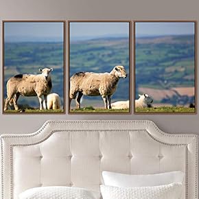 signwin 3 Piece Framed Canvas Wall Art Fun...