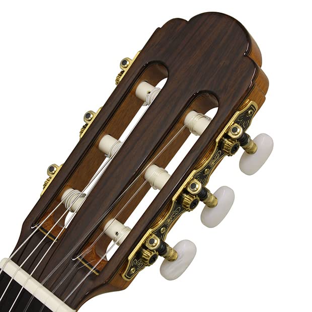 Amazon.co.jp: ARIA Classic Guitar A-50S Outlet Special Price