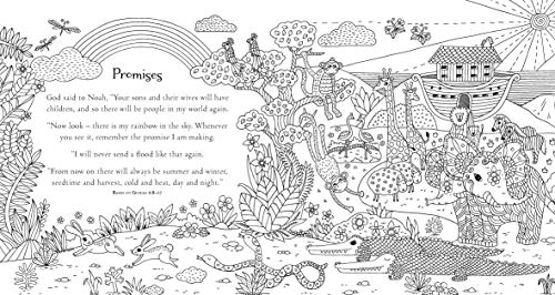 The Lion Bible Verses Colouring Book