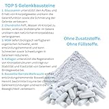 Knorpelaufbau KNORPEL & GELENKE Komplex 180 Kapseln - ArthroWell TOP-5 Gelenkbausteine Gelenkkapseln mit Glucosamin, Chondroitin, MSM, Kollagen, Weihrauch. OHNE ZUSATZSTOFFE 26445-180