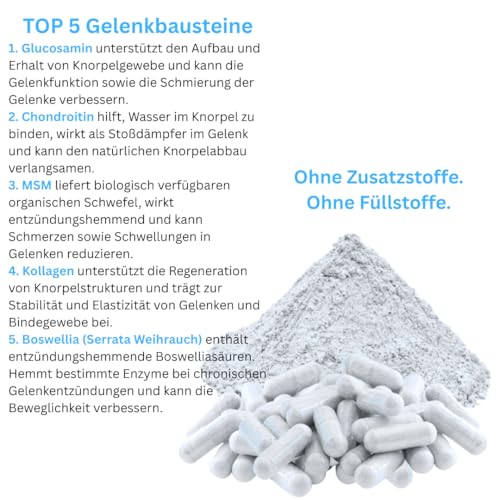 Knorpelaufbau KNORPEL & GELENKE Komplex 120 Kapseln - ArthroWell TOP-5 Gelenkbausteine Gelenkkapseln mit Glucosamin, Chondroitin, MSM, Kollagen, Weihrauch. OHNE ZUSATZSTOFFE 26444-120