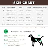 NAMSAN Hunde Windeln 3 Stück Waschbare Schutzhose für Hündinnen Einstellbare Hunde Höschen für Urin Inkontinenz/Untrainierte Welpen/Läufigkeit Hündin - S