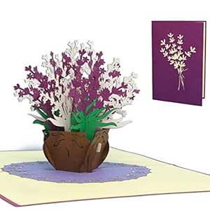 LIN17669, POP UP Karte – lilafarbene Strauss Blumen – Lavender – 3D Geburtstags-Karte – Gruß-Karte mit Blumen-Motiv…