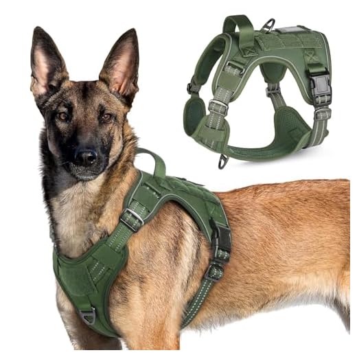 rabbitgoo Tactical Dog Harness No Pull, Military Dog Vest Harness with Handle & Molle, Easy Control Service Dog Harness for Large Dogs Training Walking, Adjustable Reflective Pet Harness, Green, XL