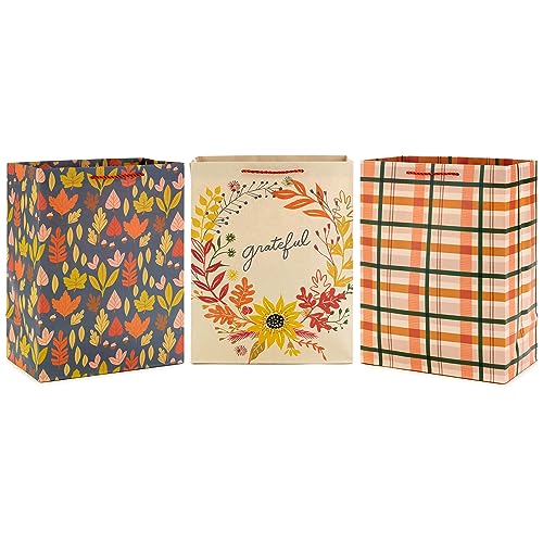 Hallmark-13-Large-Fall-Gift-Bag-Bundle-3-Bags-Orange-and-Tan-Plaid-Leaves-Grateful-Wreath-for-Thanksgiving-Friendsgiving-Bosss-Day-Clergy-Appreciation-Grandparents-Day Hallmark 13 Large Fall Gift Bag Bundle 3 Bags Orange and Tan Plaid Leaves Grateful Wreath for Thanksgiving Friendsgiving Bosss Day Clergy Appreciation Grandparents Day
