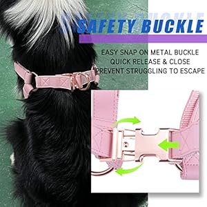 Soft Leather No Pull Dog Harness  Adjustable Step in Dog Harness with Rose Gold Heavy Duty Metal Buckle Freedom Nylon Dog Halter Vests for Small Medium Large Dogs Easy Walking Training pinkl  Cucciolini Doodles Soft leather no pull dog harness  adjustable step in dog harness with rose gold heavy duty metal buckle freedom nylon dog halter vests for small medium large dogs easy walking training pinkl   cucciolini doodles