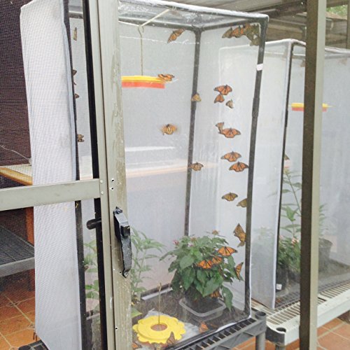Lepidtarium (100-Gallon)-Butterflyanimal Rearing/Breeding/Display Cage, 16.5 L X 30 W X 48-Inches H, 13.75 Cu. Ft.(Lh100) Educational Science We Enable Discovery #TOP4