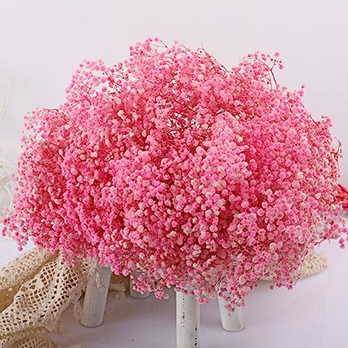 Ramo de Flores Secas Gypsophila 17.2 Pulgadas miniatura 3