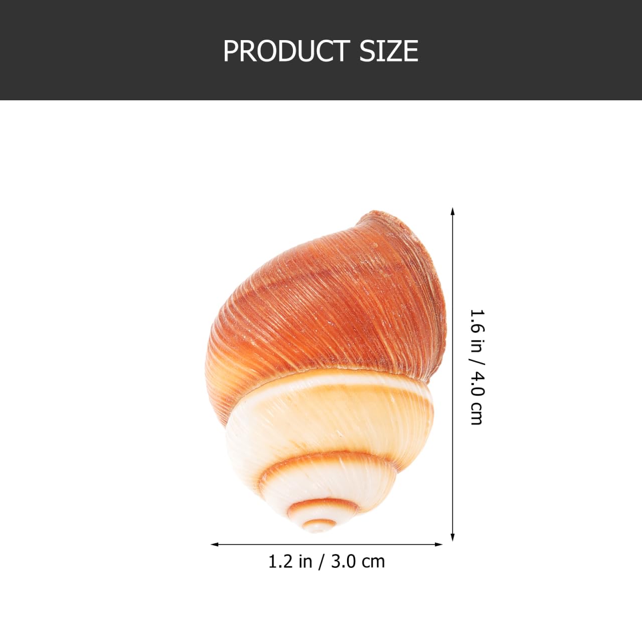 UPKOCH Natural Snail Shells for Escargot Cooking 1.57 Inch Heat Insulation Snail Shells Set of 5 for French Restaurant Baking and Serving - Image 2