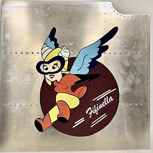 B387s 「名所美人図 花生」ノリタケ　明治時代　輸出　スパイダーマーク Amazon.co.jp: ItsYourAirplane.com ノーズアートパネル