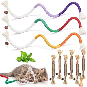 9 Stück Katzen Kauspielzeug（3 Stück Katze Seil Spielzeug and 6 Stück Kausticks für Katzen）Rope Cat Chew Toys丨Rope Cat Chew Toys,Catnip Toys für Katzen Zahnpflege&Gegen Mundgeruch,Gesund Hygiene
