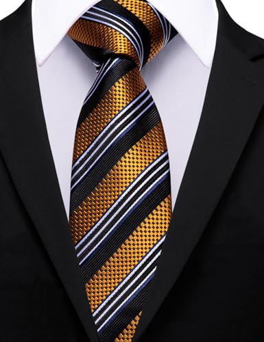 Image of Barry.Wang Silk Men Ties Formal Stripes Necktie and Tie Clip for Wedding Party Business Fashion Classic