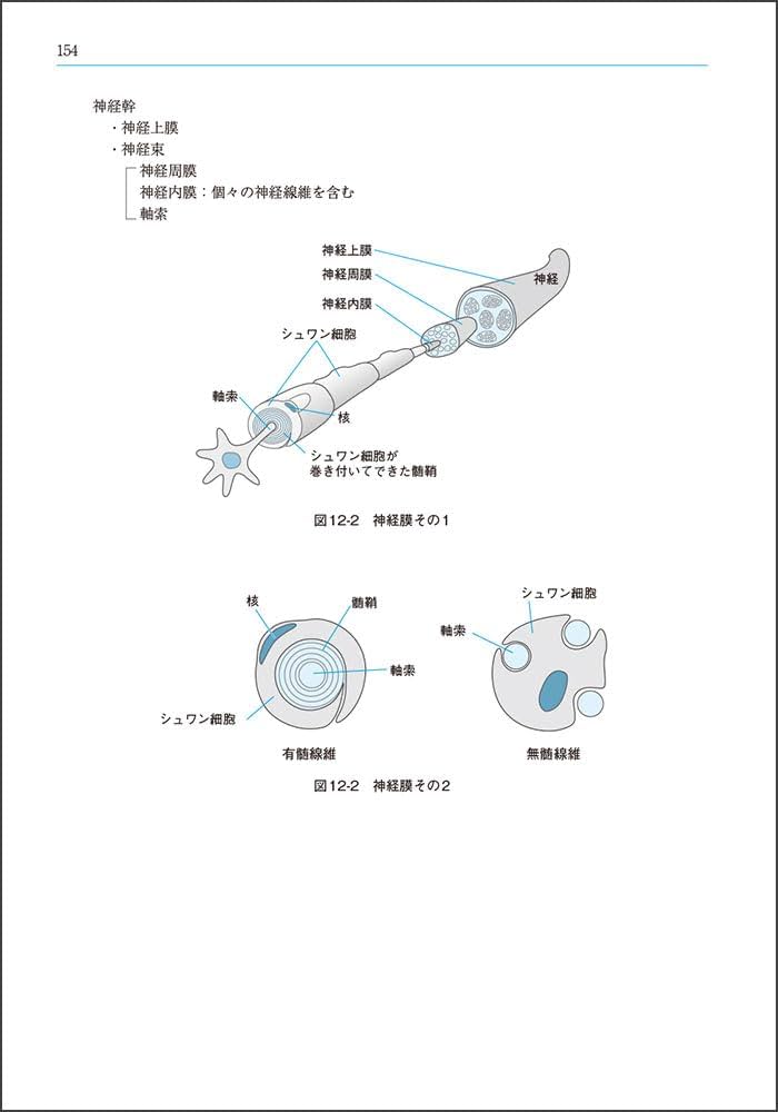 国試の達人 PT・OTシリーズ 2026～運動解剖生理学編～第31版