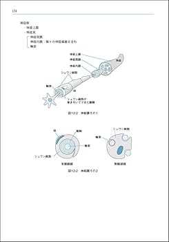 国試の達人2017〜運動解剖生理学編〜第22版 (国試の達人　PT・OTシリーズ) [−] 国試の達人 PT・OTシリーズ 2024～運動解剖生理学編～第29版