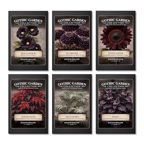Ravens Hollow Garden Gothic Garden Seed Collection 6 Open-Pollinated Flower & Foliage Varieties