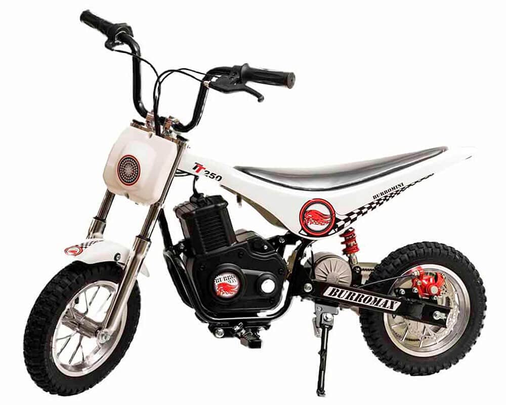 Buy Burromax TT250 Electric Motorcycle 