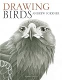 Drawing Birds