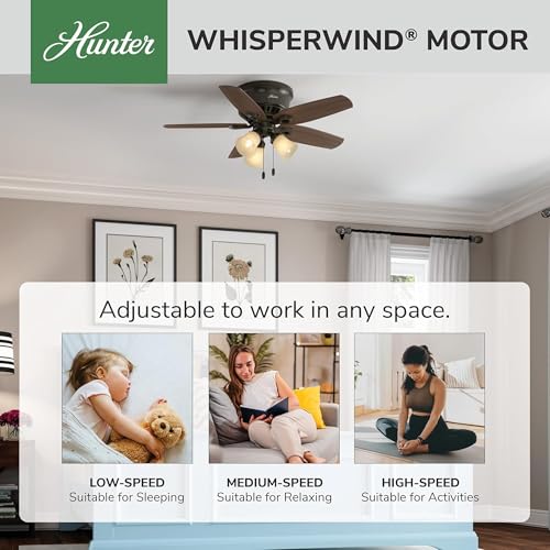 Image of Hunter 42 inch Indoor Ceiling Fan with LED Lights & Remote - Bronze Ceiling Fan, Pull Chain, for Bedroom, Living Room, or Kitchen, Low Profile Flush Mount, 5 Blades - Builder 51091, New Bronze
