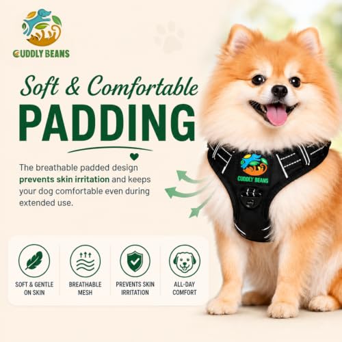 Image of Adjustable Padded Dog Harness with Leash, Black, M (16-24 kg)