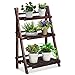 Giantex 3 Tier Folding Wooden Plant Stand with Pot Shelf Stand Display Rack for Indoor Outdoor Garden Greenhouse, 24" x 15" x 37"