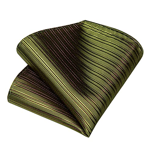 Image of DiBanGu Silk Ties for Men Necktie and Lapel Pin Brooch Set Formal Woven Paisley Plaid Striped Solid Tie Wedding Party