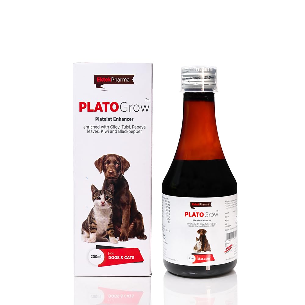 all4pets Platogrow Platelet Enhancer Pet Syrup 200ml (for Dogs & Cats) (B07BVSZDBH) Amazon Price History, Amazon Price Tracker