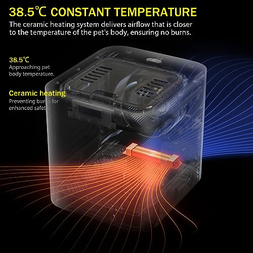 PET MARVEL Pet Dryer Box, Automatic Blow Dryer for Cat and Small Dog Hair, Smart Homothermal Temperature Control 360 Nature Wind Drying 60L Capacity