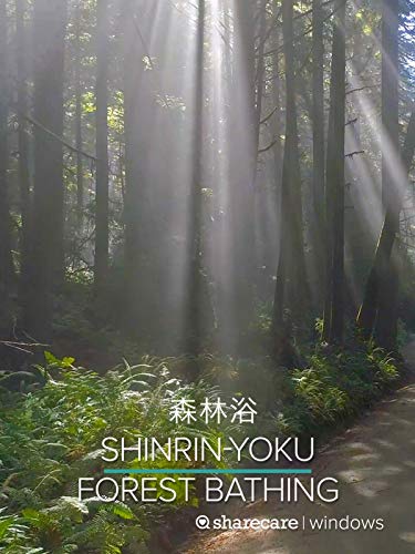 Shinrin-Yoku (forest bathing)