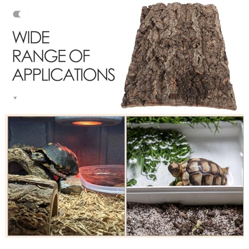 Corteza natural de madera seleccionada para fondos de terrario 4
