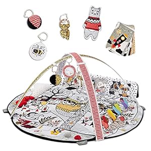 kk KinderKraft EDUMEE Speeldeken voor baby s met zachte speelboog, Speelkleed voor kinderen, Contrast kaarten baby, 4 zintuiglijke zones, ideaal voor op reis,multi kleuren